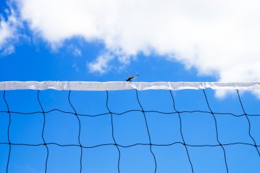 Yusufçuk Voleybol net üzerinde.