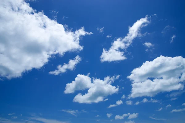 Cielo azul con blanco podría — Foto de Stock