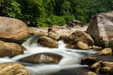 Tropik ormandaki küçük brook.