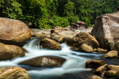 Tropik ormandaki küçük brook.