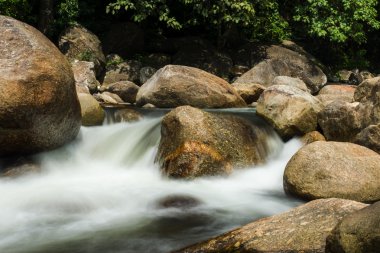Tropik ormandaki küçük brook.