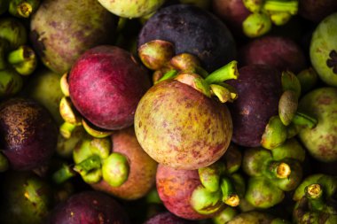 Mangosteen ihracat için