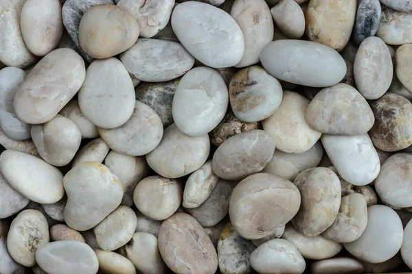Крупним планом білі камені . — стокове фото
