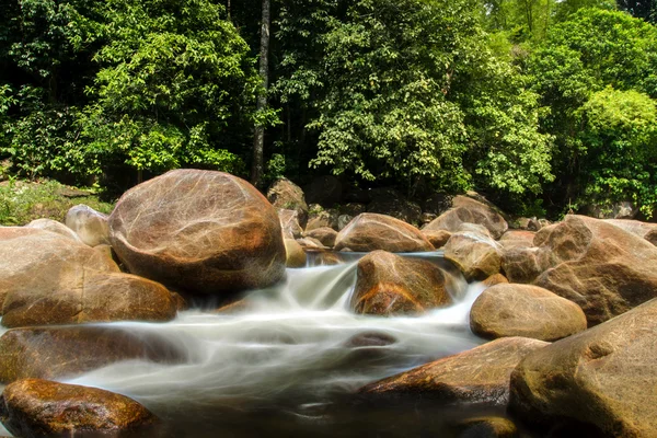 Petit ruisseau en forêt tropicale . — Photo