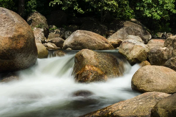 Piccolo ruscello nella foresta tropicale . — Foto Stock