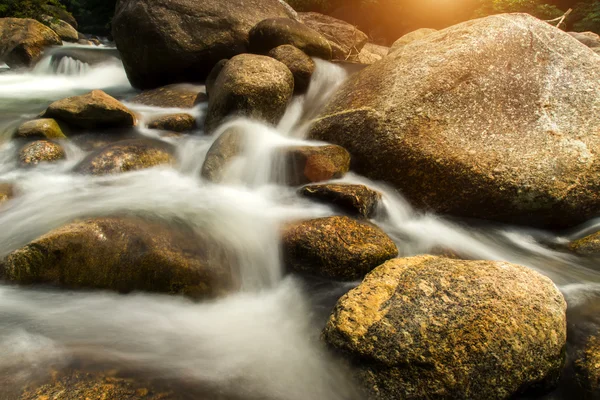 Pequena cachoeira na floresta tropical . — Fotografia de Stock