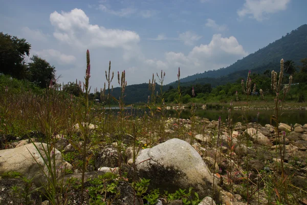 Ruisseau et rochers dans les montagnes au village de Kiriwong . — Photo