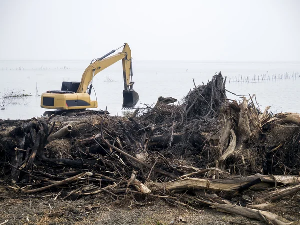 Escavatore scavare un albero al lago . — Foto Stock