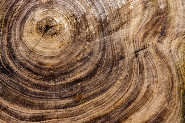 Holz Hintergrund — Stockfoto