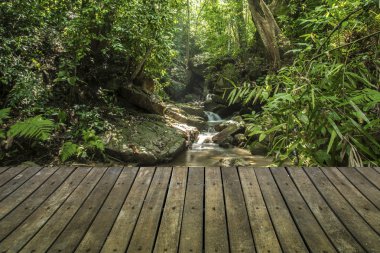 Yağmur ormanlarında ahşap yürüme yolu.