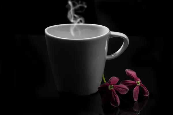 Witte koffiekopje in het donker. — Stockfoto