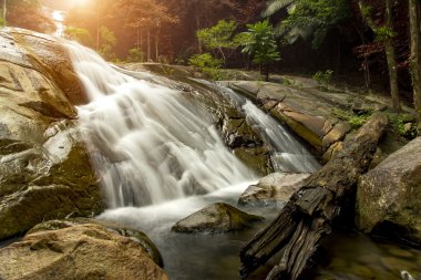 Şelale ve taşı yağmur ormanlarında.