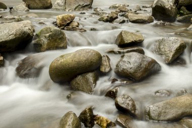 Şelale ve taşı yağmur ormanlarında.