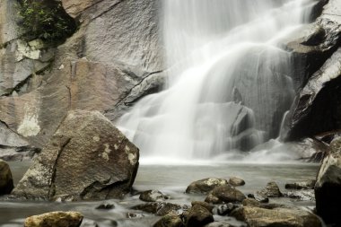 Şelale ve taşı yağmur ormanlarında.