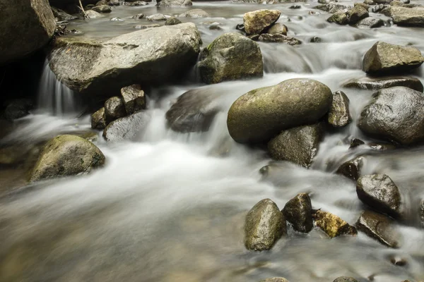 Cascata e pietra nella foresta pluviale . — Foto Stock