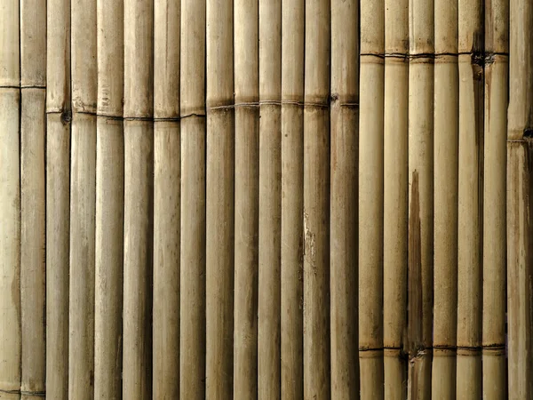 Parede de bambu no jardim . — Fotografia de Stock