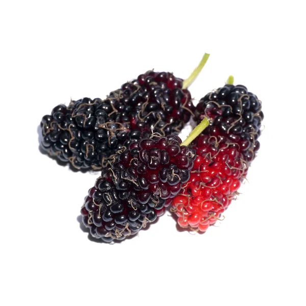 Fresh organic mulberry — Stock Photo, Image