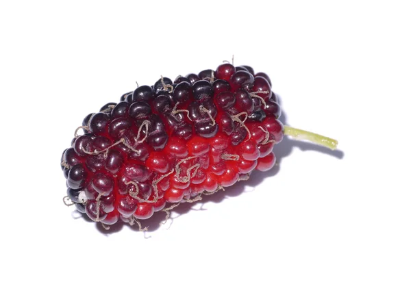 Fresh organic mulberry — Stock Photo, Image