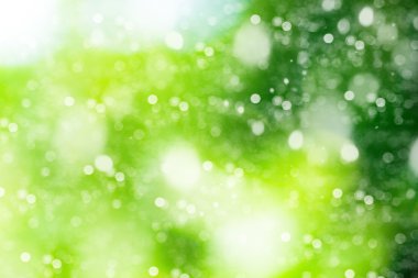 Güneşli soyut yeşil doğa arkaplanı.