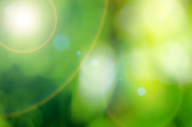 Güneşli soyut yeşil doğa arkaplanı.