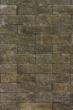 Arka planı karanlık tuğla duvar.