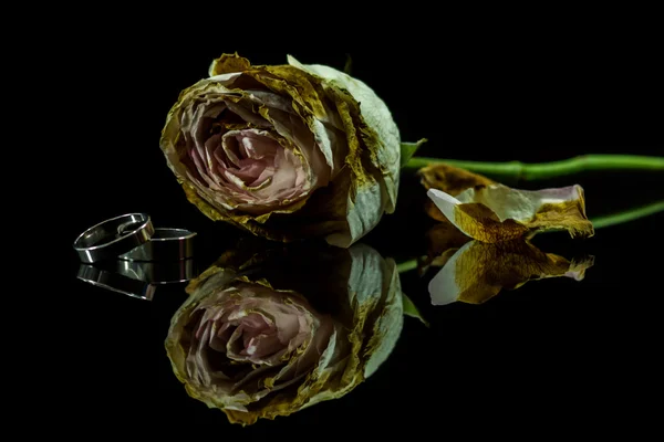 Rosas murchas sobre um fundo preto . — Fotografia de Stock