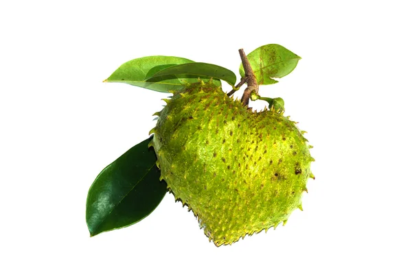 Soursop, Prickly Custard Apple. — Stock Photo, Image