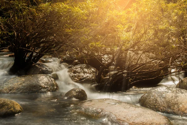 Small Waterfall and rock in tropical forest with sunlight. — Stock Photo, Image