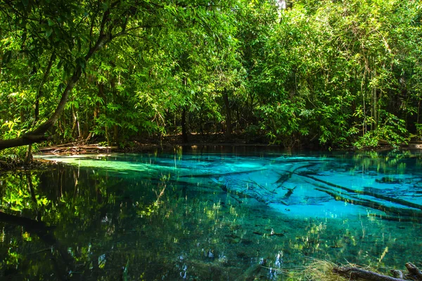 Amazing nature, Blue pond in the forest. — Stock Photo, Image