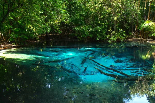 Increíble naturaleza, Estanque azul en el bosque . —  Fotos de Stock