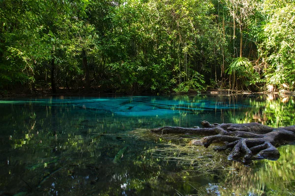 KITAmazing nature, blauwe vijver in het bos. — Stockfoto