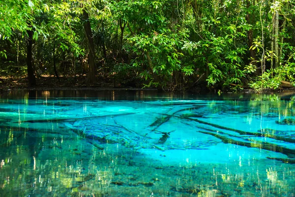 Удивительная природа, Голубой пруд в лесу . — стоковое фото