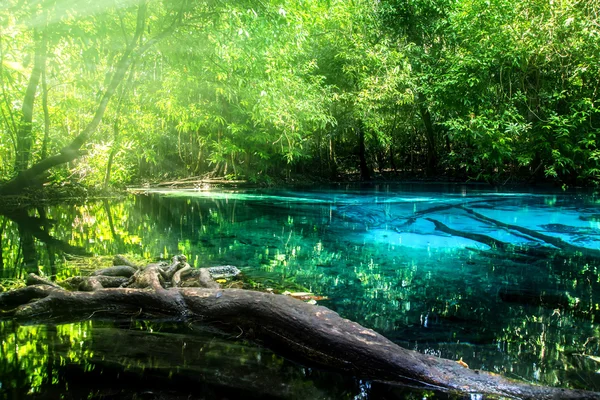 Úžasná příroda, modrý rybník v lese. — Stock fotografie