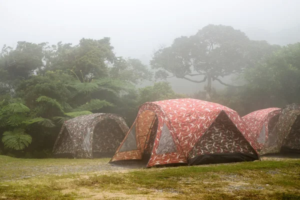 Tenda acampar na névoa . — Fotografia de Stock