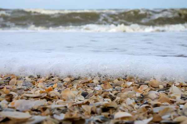 Bubble sea and seashell on the beach. — Stock Photo, Image