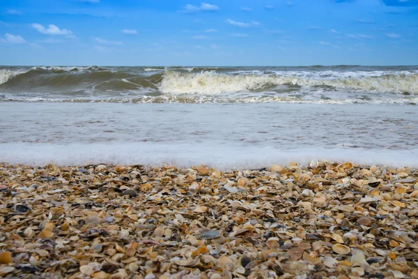 Bubble sea and seashell on the beach. (Un-focus image) — Stock Photo, Image