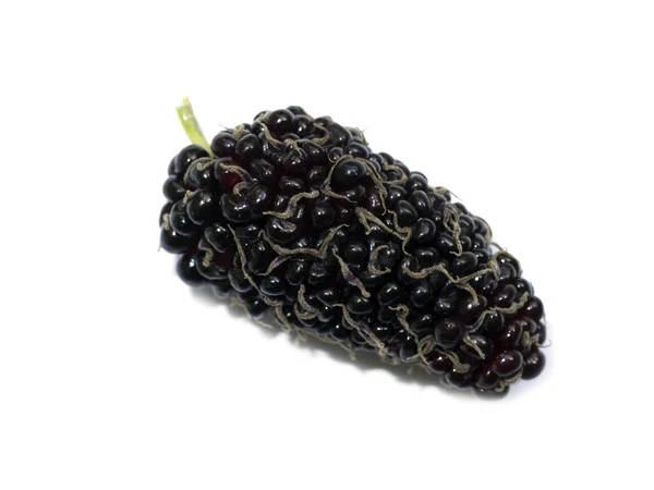 Fresh organic mulberry — Stock Photo, Image