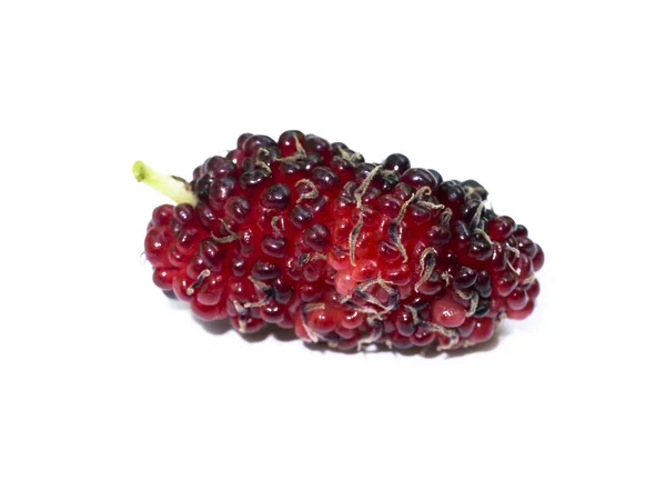 Fresh organic mulberry — Stock Photo, Image