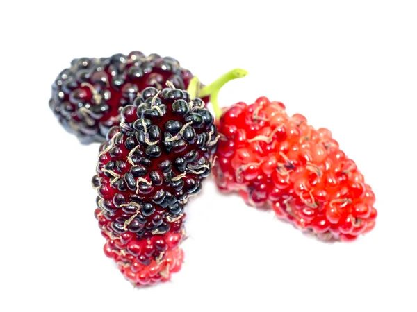 Fresh organic mulberry — Stock Photo, Image