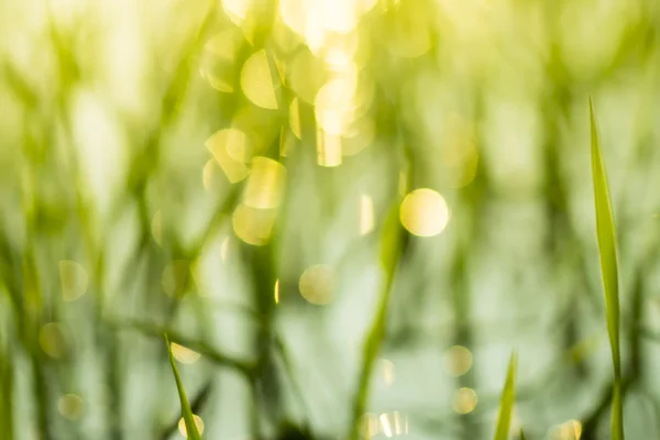 Niewyraźne nieostrości okrągłe bokeh świateł tło — Zdjęcie stockowe