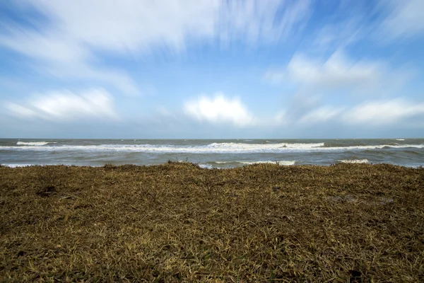 Trockenes Gras und Bewegungswolken über dem Meer. — Stockfoto