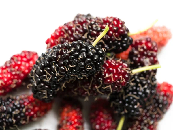 Fresh organic mulberry. — Stock Photo, Image