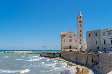 Santa Maria Assunta Katedrali, İtalya 'nın Puglia şehrinin Trani Meydanı' ndaki San Nicola Pellegrino Katedrali olarak da bilinir.