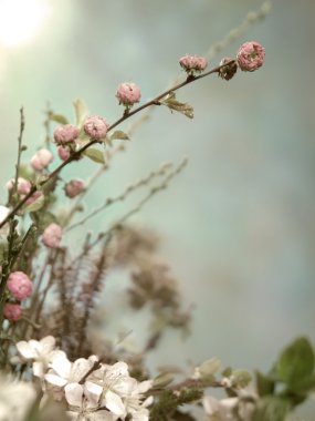 Paskalya Çiçekleri