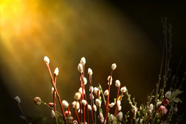 Paskalya Çiçekleri