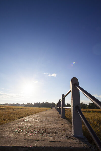Путь и голубое небо
.