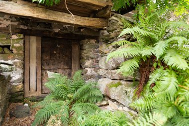 Aşırı gelişmiş duvarları ve büyük ahşap kapısı olan çürüyen antik taş ev.