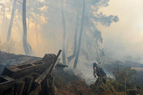 Ola Calor Causa Incendios Que Arden Por Segundo Día Isla — Foto de Stock