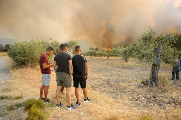 Heatwave Causes Fires Burning Second Day Isle Rodos Dodecanese Greece — Stock Photo, Image