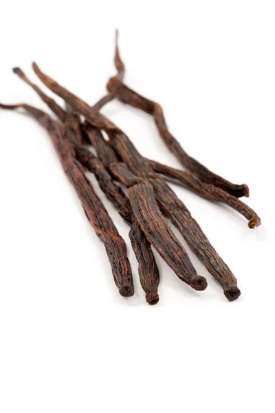 Vanilla sticks — Stock Photo, Image